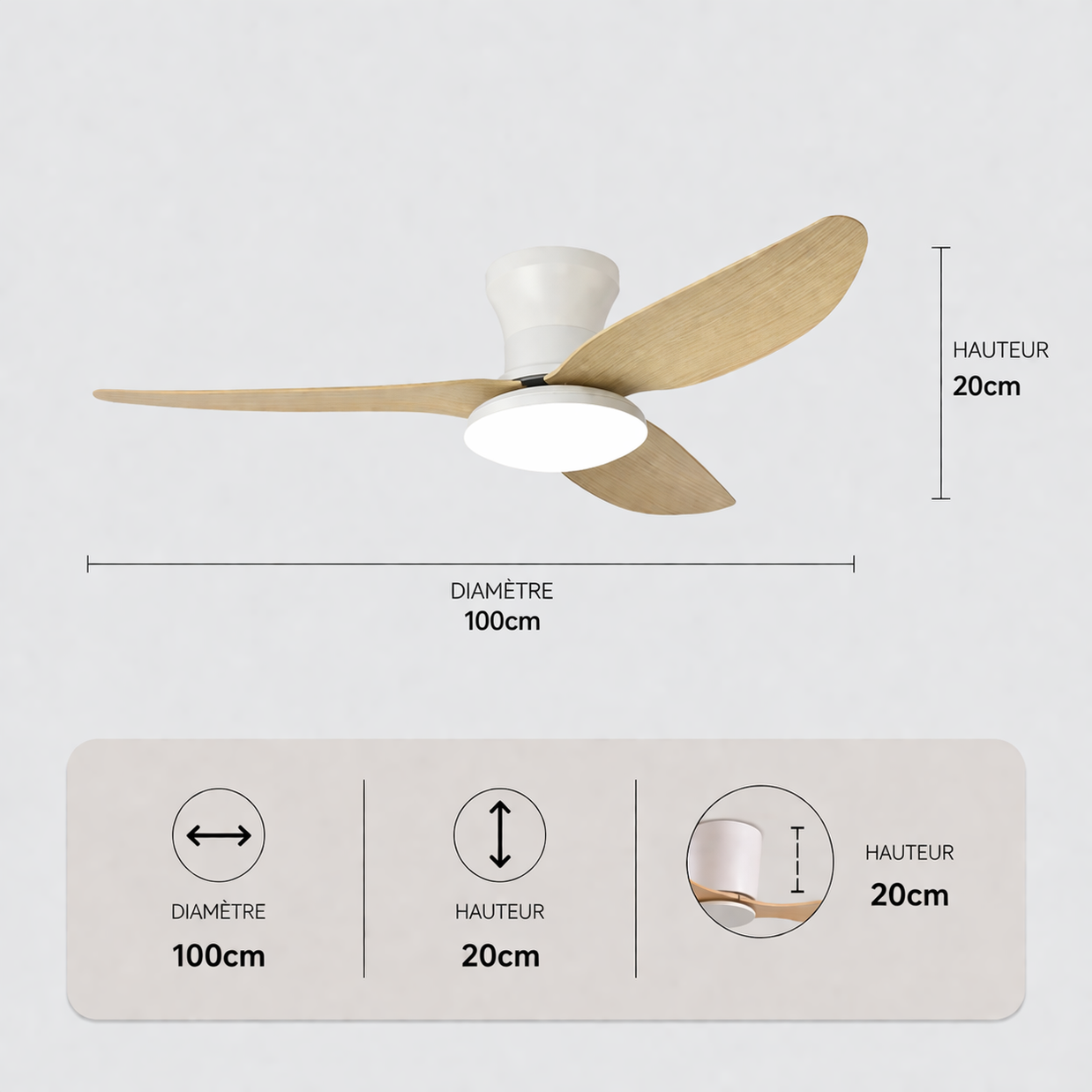 Petit Noyer – Plafonnier Ventilateur | Ventilateur Plafond LED Design Aérodynamique Moderne