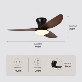 Petit Noyer – Plafonnier Ventilateur | Ventilateur Plafond LED Design Aérodynamique Moderne