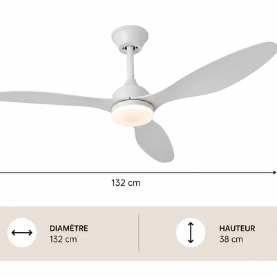 Albatross – Plafonnier Ventilateur | Ventilateur Plafond LED Pales Bois