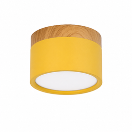Roan – Plafonnier Salle de Bain | Spot LED Multicolore Dimmable Compact