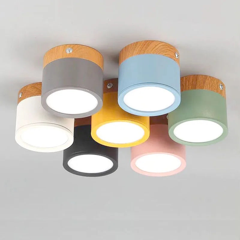 Roan – Plafonnier Salle de Bain | Spot LED Multicolore Dimmable Compact